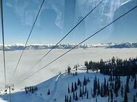 IMG_20260205_123810