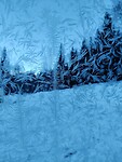 IMG_20260301_095923