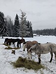 IMG_20260316_092254