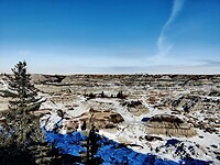 IMG_20260123_120706