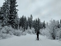IMG_20260127_123854