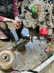 IMG_20260210_012339