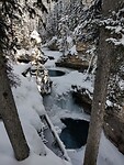 IMG_20260219_111436