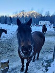 IMG_20260220_091822