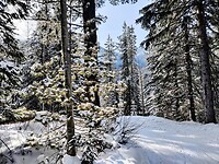 IMG_20260220_144744