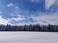 IMG_20260223_135400