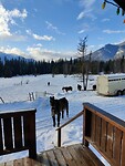 IMG_20260223_161800