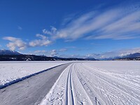 IMG_20260224_145959