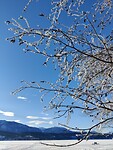 IMG_20260224_163317