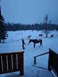 IMG-20260126-WA0004
