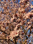 IMG_20260320_175747