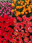 IMG_20260326_123219