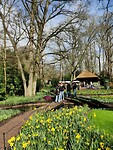 IMG_20260326_135254