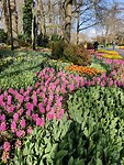 IMG_20260326_142605