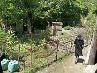 Groente tuin ouders Hayarpi