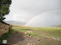 Regenboog