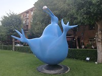 Blauwe vogel, onder aan de Cascade