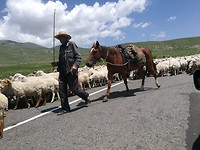 Onderweg naar Goris