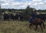 Mustering with family Frame