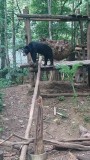 FB_IMG_1431161497360
