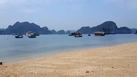 Monkey Island