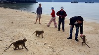 Monkey Island