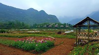 Scenery Mai Châu