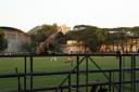 cricket ground iit