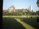 oval maidan_cricket