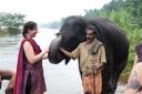 2010100803IMG_2524olifant