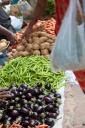 Brinjal, chillies and aloo so fresh!