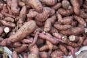 sweet potato