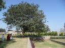 Golconda fort