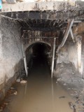 SAM_6269