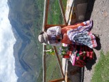 SAM_6874