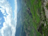 SAM_6876