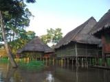 SAM_6976