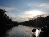 SAM_6984