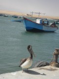 SAM_7318