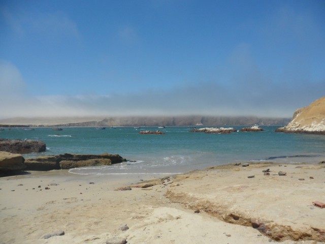 SAM_7315