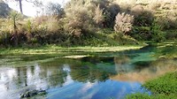 DSCN6103