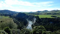 DSCN7715