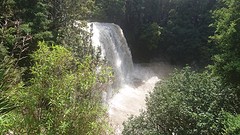 IMG_20161107_102038508