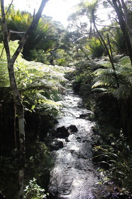 Waitakere Ranges Park