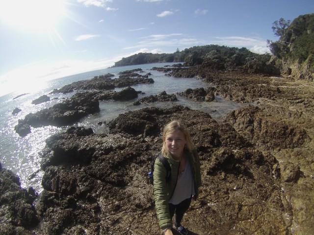 Waiheke Island