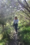 Waiheke Island