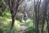 Waiheke Island
