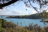 Waiheke Island