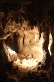 Waitomo Caves