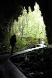 Waitomo Caves